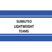 Subbuteo Lightweight Teams (13)